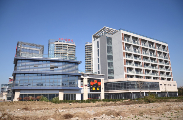 永新置地金都城項目